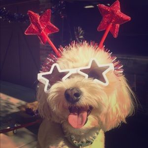 Meet your Posher, Peyton